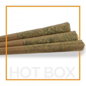 Greasy Death Bubba – Hot Box (3 Pack)