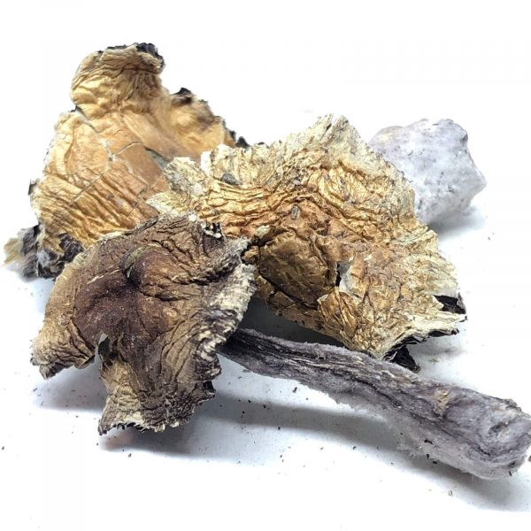 pesa magic mushrooms
