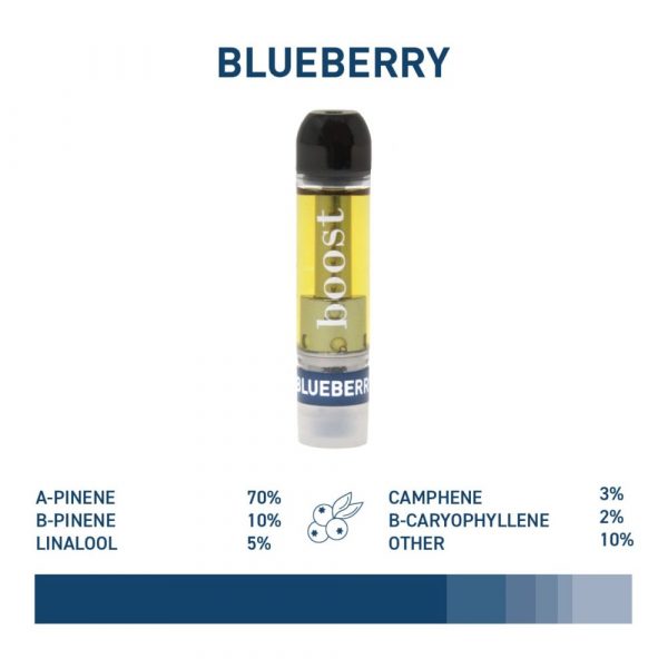 Boost vape cartridge Blueberry