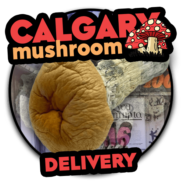 Calgary Mushroom Delivery with 90 minute doordash weed Calgary