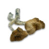 Malabar Mushrooms Dried Psilocybin with 90 minute Calgary delivery