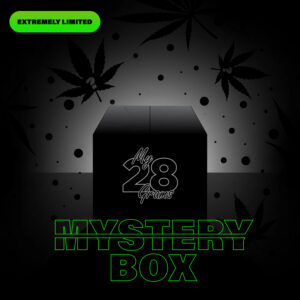 The Mystery Box ??? Value Minimum $250+